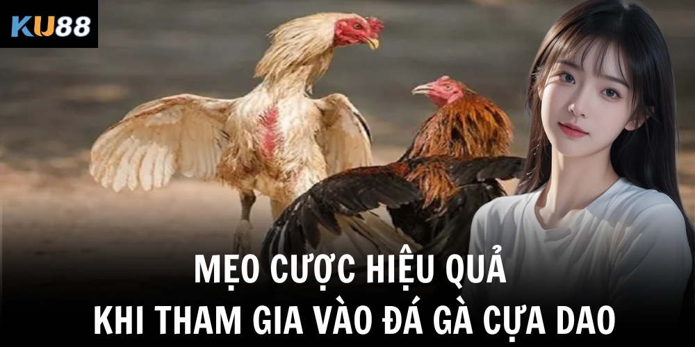 Mẹo cược hiệu quả khi tham gia vào đá gà cựa dao
